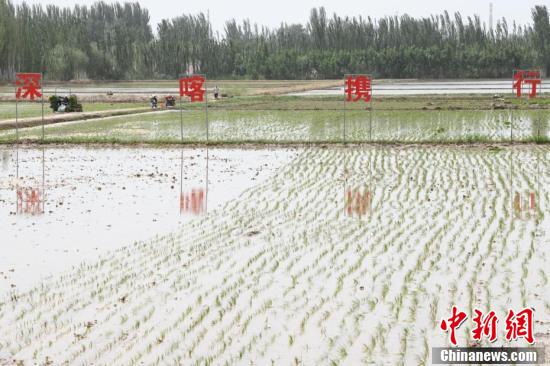 
首都医科大学附属北京妇产医院黄牛代挂号电话票贩子号贩子网上预约挂号,住院检查加快,新疆喀什市万亩“海水稻”插秧工作全面展开