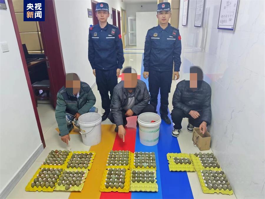 
上海仁济医院黄牛代挂号电话票贩子号贩子网上预约挂号,住院检查加快,偷采黑尾鸥蛋！青岛海警破获一起非法狩猎案