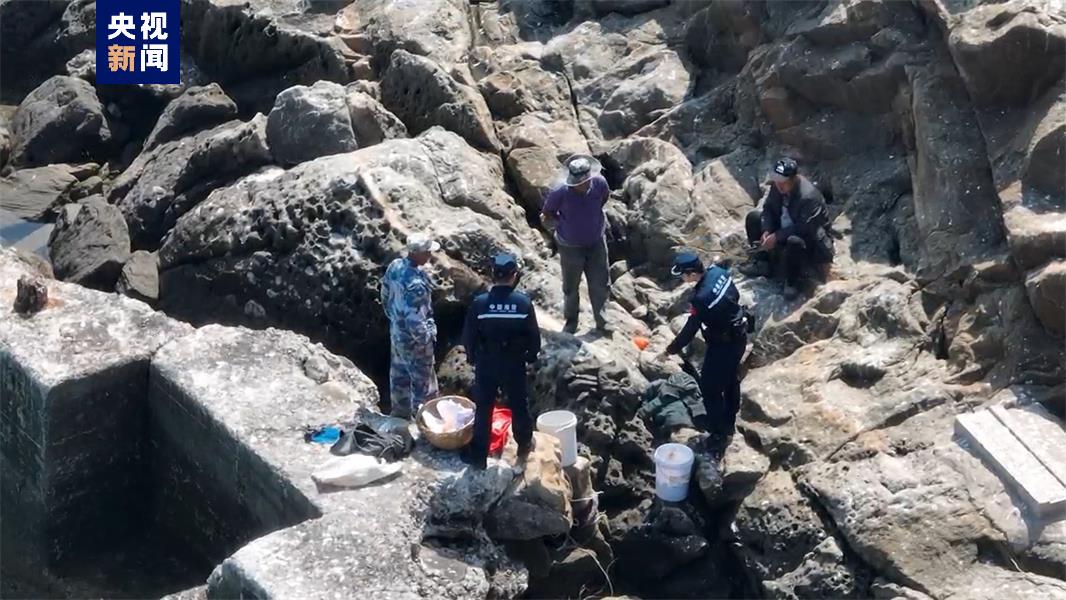 
上海仁济医院黄牛代挂号电话票贩子号贩子网上预约挂号,住院检查加快,偷采黑尾鸥蛋！青岛海警破获一起非法狩猎案