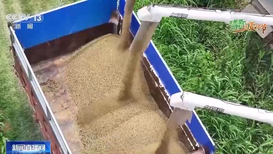 
上海精神卫生中心黄牛代挂号电话票贩子号贩子网上预约挂号,住院检查加快,追更啦！全国夏粮收获6.5% 西南麦区上大分