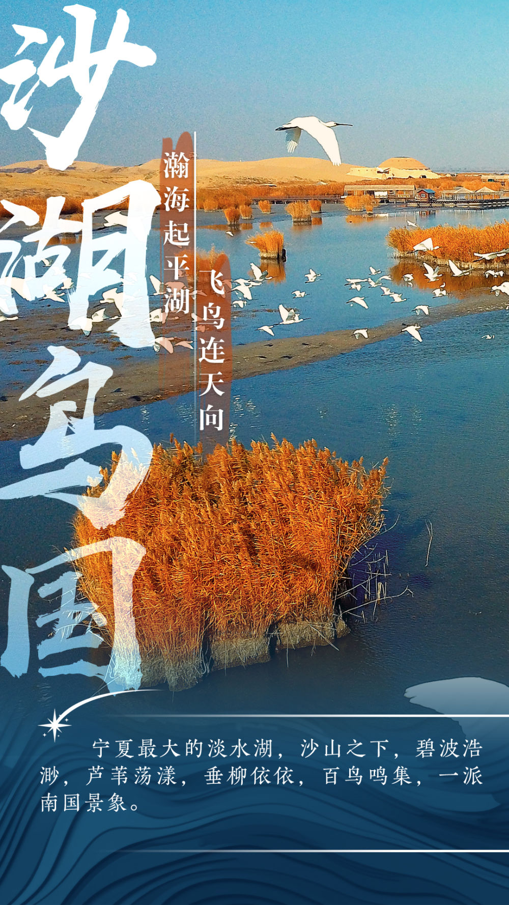 
北京妇产医院黄牛代挂号电话票贩子号贩子网上预约挂号,住院检查加快,海报｜与“宁”相约，打卡星星的故乡