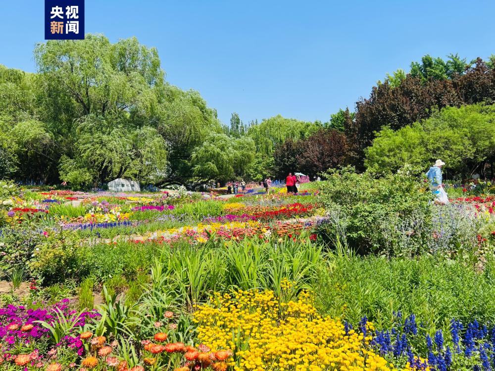 
北京大学第一医院周福德黄牛挂号电话13241153586四年累计记录物种6895种 北京生态系统质量保持稳定