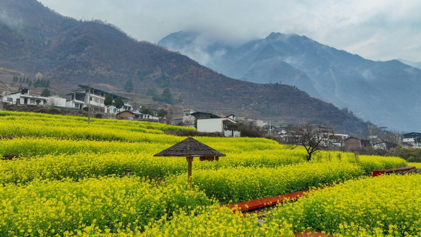 
江苏省中医院黄牛代挂号电话票贩子号贩子网上预约挂号,住院检查加快,甘肃，从唐诗中走来