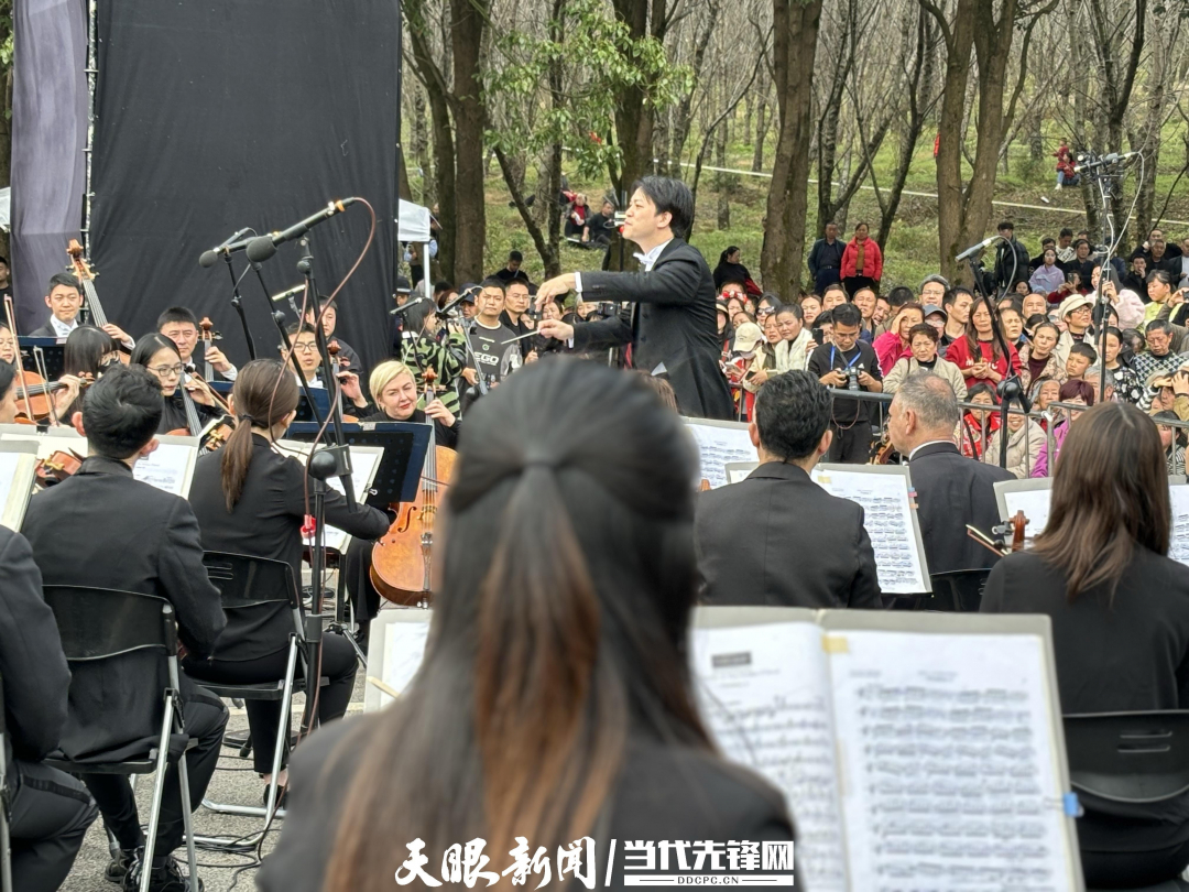 
山东大学齐鲁医院黄牛代挂号电话票贩子号贩子网上预约挂号,住院检查加快,文化中国行｜街头巷尾龙门阵② 在路边，没有边