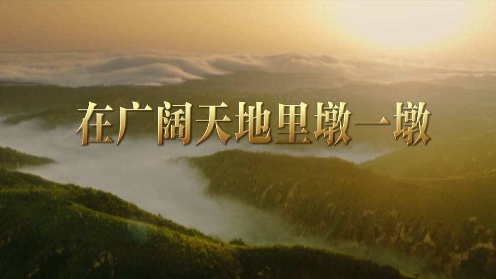 
北京天坛医院黄牛代挂号电话票贩子号贩子网上预约挂号,住院检查加快,追光的你丨在广阔天地里墩一墩