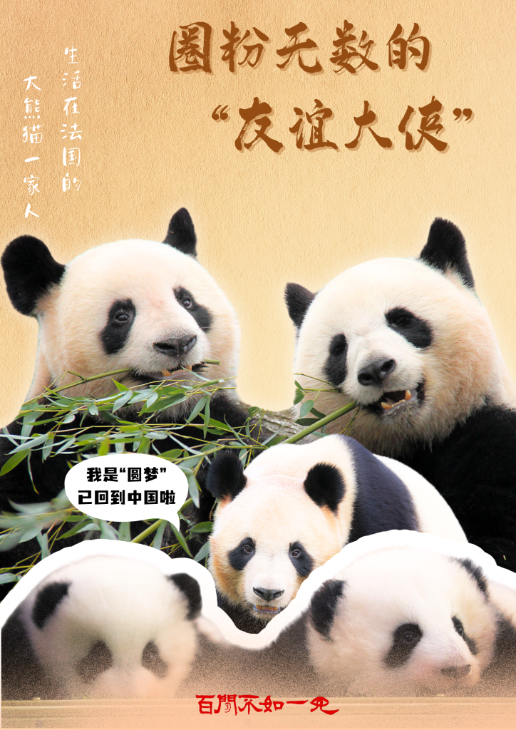 
南京鼓楼医院黄牛代挂号电话票贩子号贩子网上预约挂号,住院检查加快,百闻不如一见｜中法国礼 甲子情缘