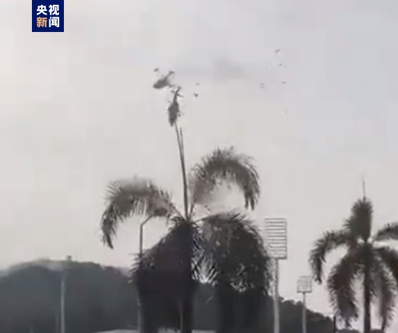 
北京各大医院黄牛代挂号电话票贩子号贩子网上预约挂号,住院检查加快,马来西亚直升机相撞事故原因公布：其中一架未按预定计划飞行