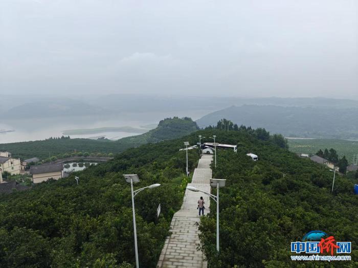 
中国中医科学院西苑黄牛代挂号电话票贩子号贩子网上预约挂号,住院检查加快,海外华媒重庆行：追寻嘉庚足迹 感受西部发展活力