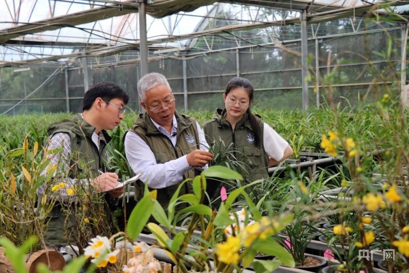 
广州中山一院黄牛代挂号电话票贩子号贩子网上预约挂号,住院检查加快,【习声回响】干一行、爱一行、钻一行