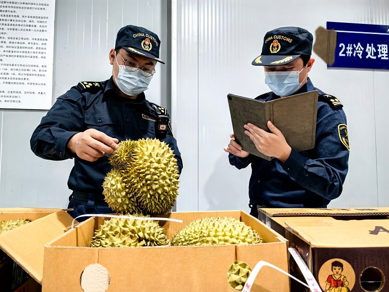 
南京市胸科医院马国栋黄牛挂号电话13241153586进口榴莲抢“鲜”通关 “洋水果”走俏中国市场