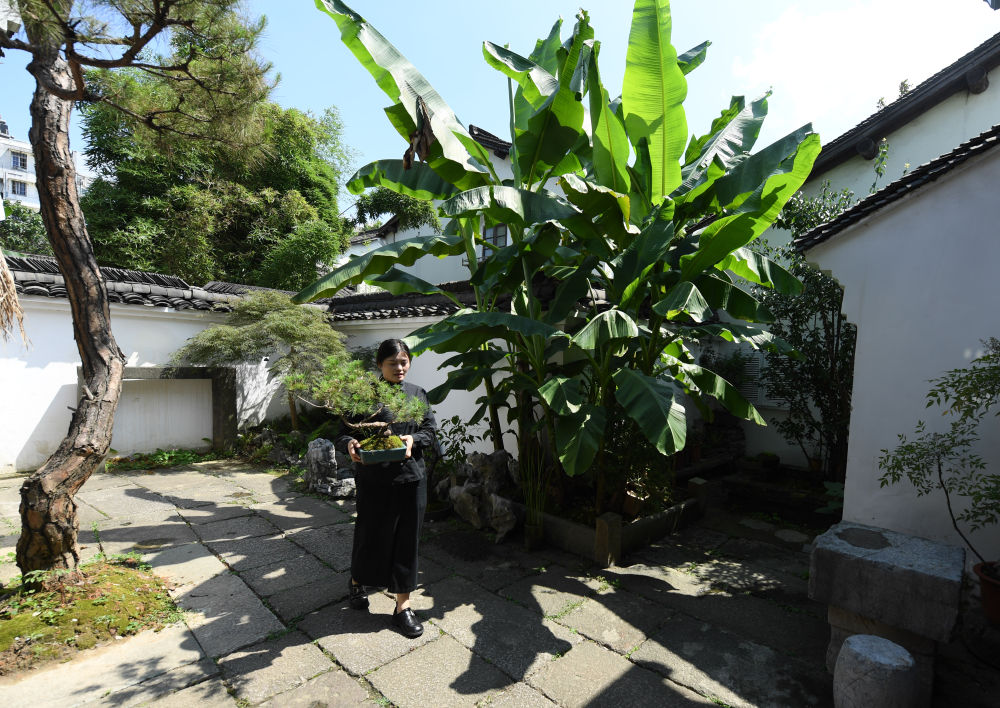 
杭州市富阳中医骨伤医院黄牛代挂号电话票贩子号贩子网上预约挂号,住院检查加快,新华全媒+·中国大运河申遗成功十周年｜在京杭大运河南端来场“City Walk”