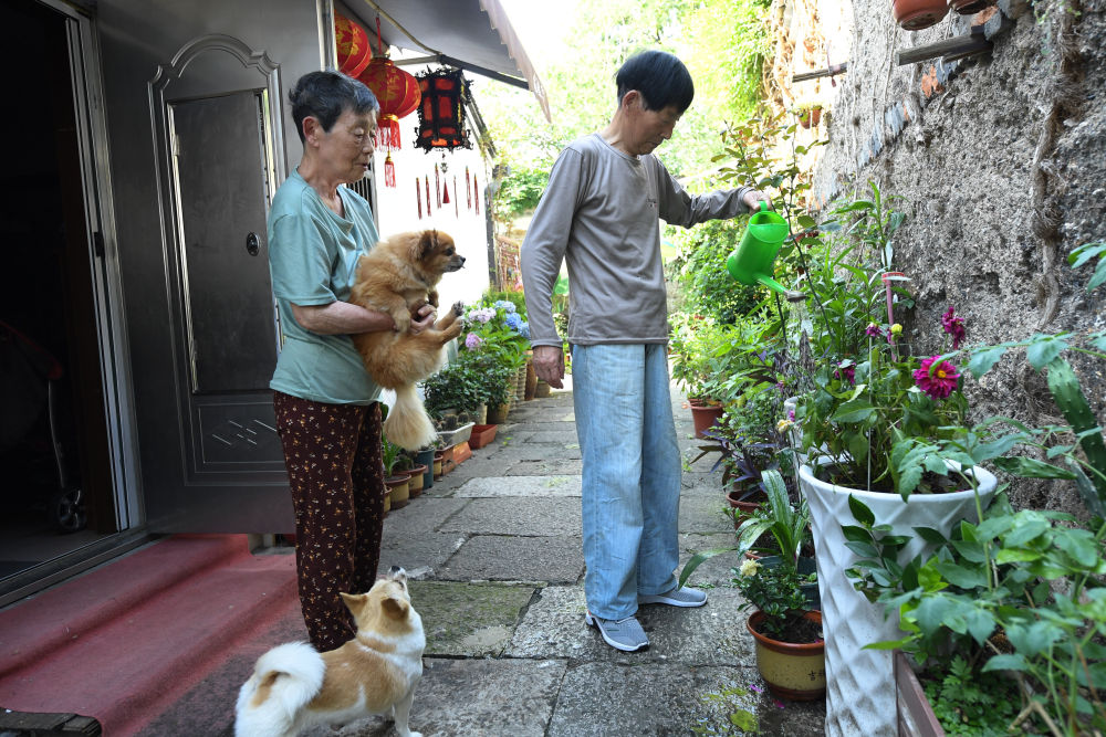 
杭州市富阳中医骨伤医院黄牛代挂号电话票贩子号贩子网上预约挂号,住院检查加快,新华全媒+·中国大运河申遗成功十周年｜在京杭大运河南端来场“City Walk”