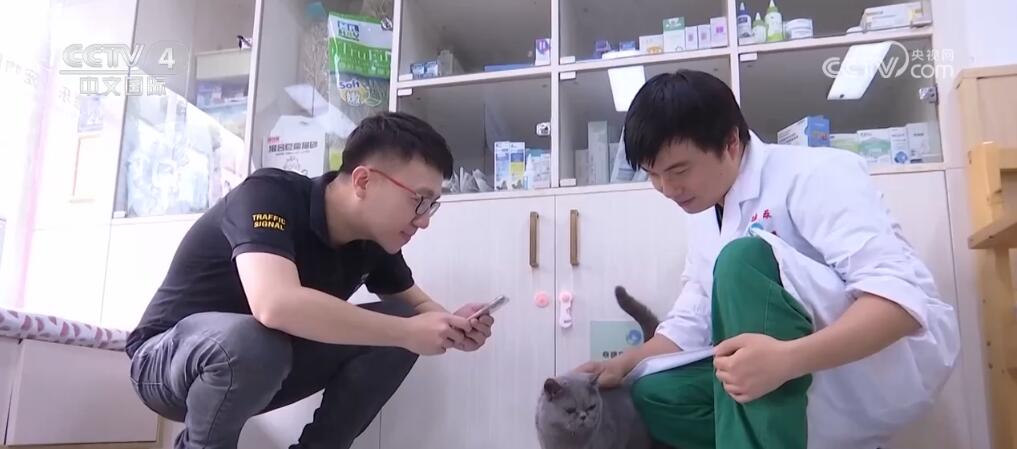
广东省人民医院黄牛代挂号电话票贩子号贩子网上预约挂号,住院检查加快,跨越海峡、向西而行 台湾青年登陆实现创业梦想 绽放精彩人生