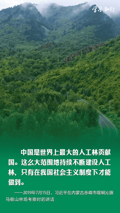 
北京安贞医院黄牛代挂号电话票贩子号贩子网上预约挂号,住院检查加快,学习·知行丨书写绿色奇迹 习近平指引走好中国特色防沙治沙之路