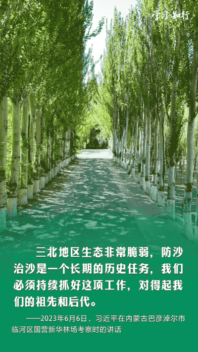 
北京安贞医院黄牛代挂号电话票贩子号贩子网上预约挂号,住院检查加快,学习·知行丨书写绿色奇迹 习近平指引走好中国特色防沙治沙之路