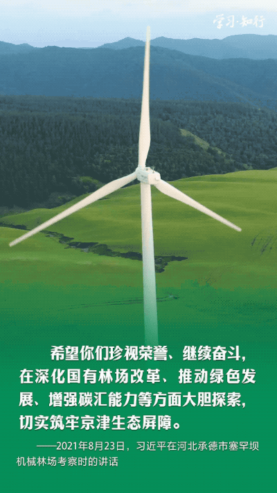 
北京安贞医院黄牛代挂号电话票贩子号贩子网上预约挂号,住院检查加快,学习·知行丨书写绿色奇迹 习近平指引走好中国特色防沙治沙之路