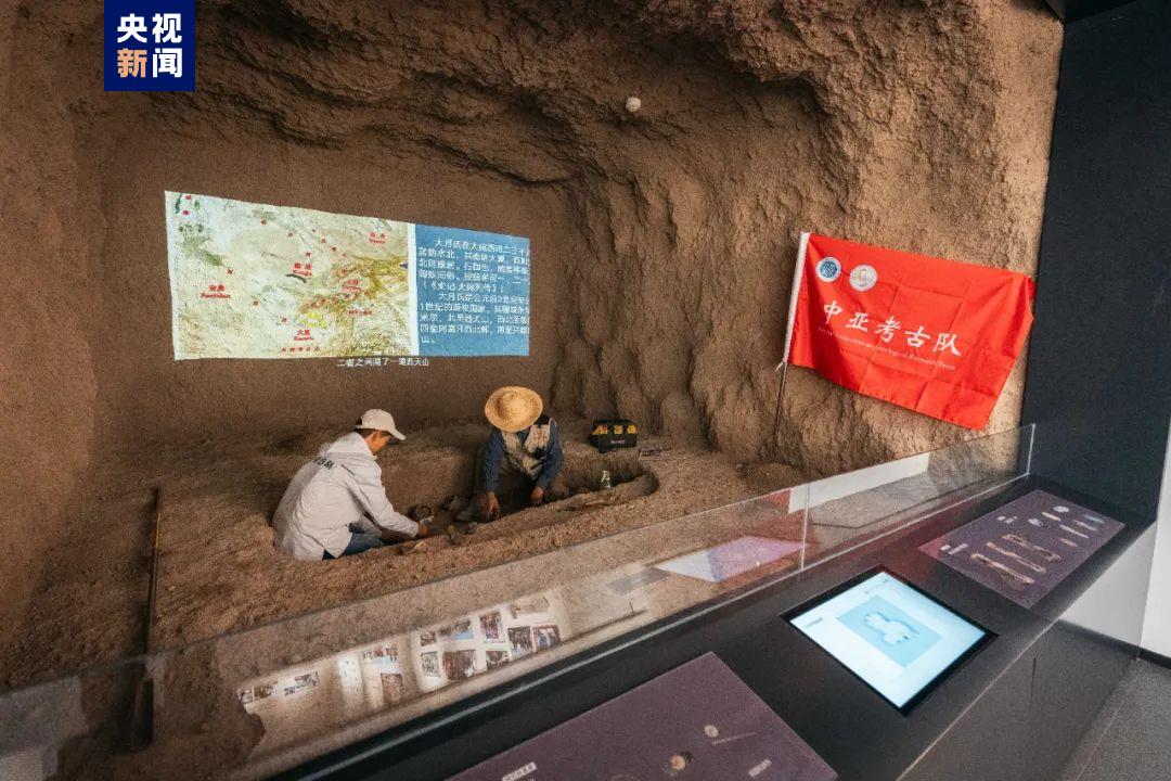 北京协和医院黄牛代挂号电话票贩子号贩子网上预约挂号,住院检查加快,西北大学丝绸之路考古馆今日开馆