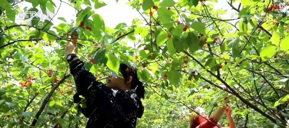 
广东省人民医院黄牛代挂号电话票贩子号贩子网上预约挂号,住院检查加快,清江碧水促民生 百姓享受绿色发展福祉
