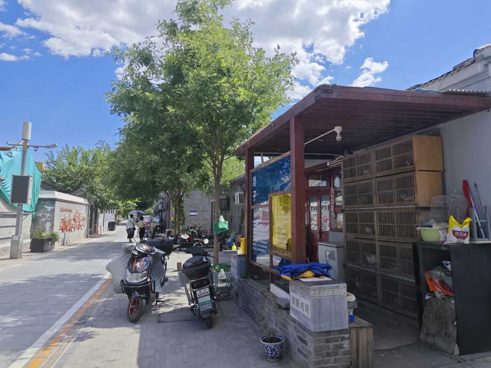 
广州市妇女儿童医疗中心黄牛代挂号电话票贩子号贩子网上预约挂号,住院检查加快,新华全媒+|细微处惠民生——上半年多地推进“小而美”民生项目建设一线扫描