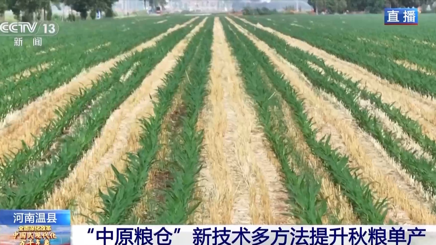 
首都医科大学附属阜外医院黄牛代挂号电话票贩子号贩子网上预约挂号,住院检查加快,让农作物精准“喝水” 这里耕出“智慧田”