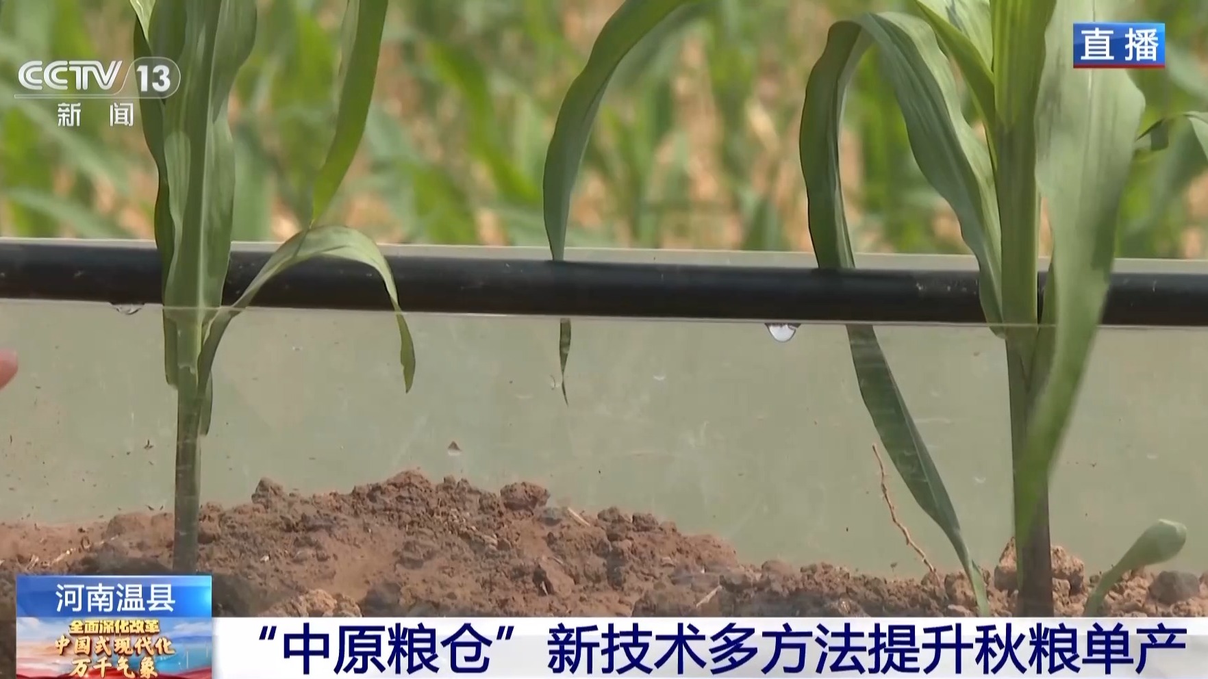
首都医科大学附属阜外医院黄牛代挂号电话票贩子号贩子网上预约挂号,住院检查加快,让农作物精准“喝水” 这里耕出“智慧田”