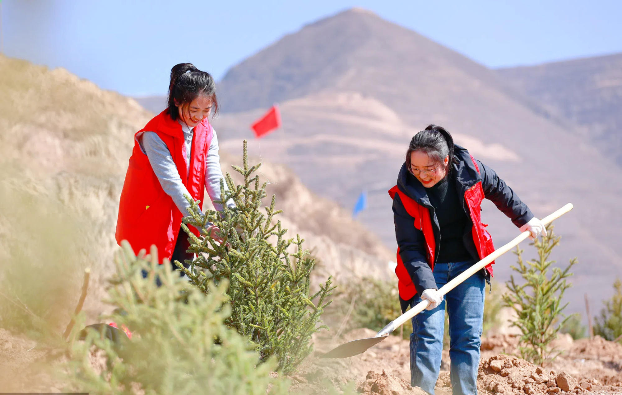 
天津血液研究所黄牛代挂号电话票贩子号贩子网上预约挂号,住院检查加快,【央广时评】科学防沙治沙 久久为功筑牢“三北”绿色长城