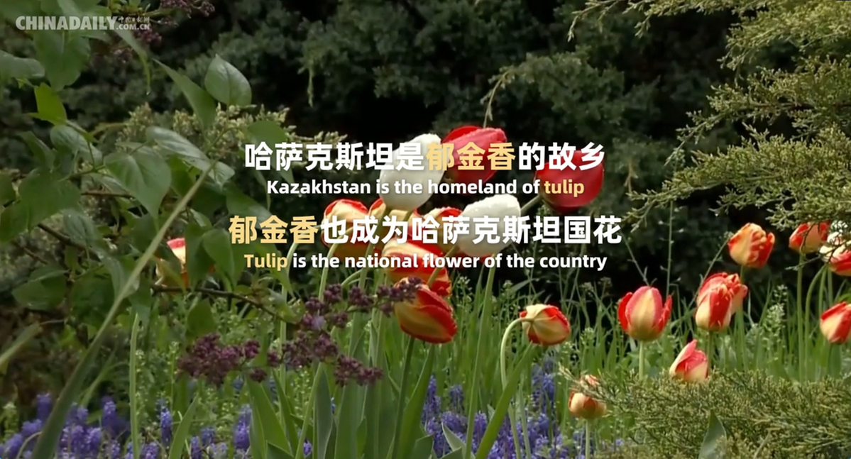 
北京肿瘤医院黄牛代挂号电话票贩子号贩子网上预约挂号,住院检查加快,跟着习主席看世界 | 走进共建“一带一路”首倡之地哈萨克斯坦
