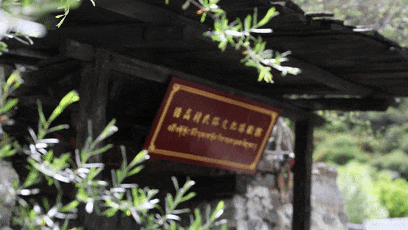 
北京大学第三医院黄牛代挂号电话票贩子号贩子网上预约挂号,住院检查加快,西藏这座千年古村，大变样！