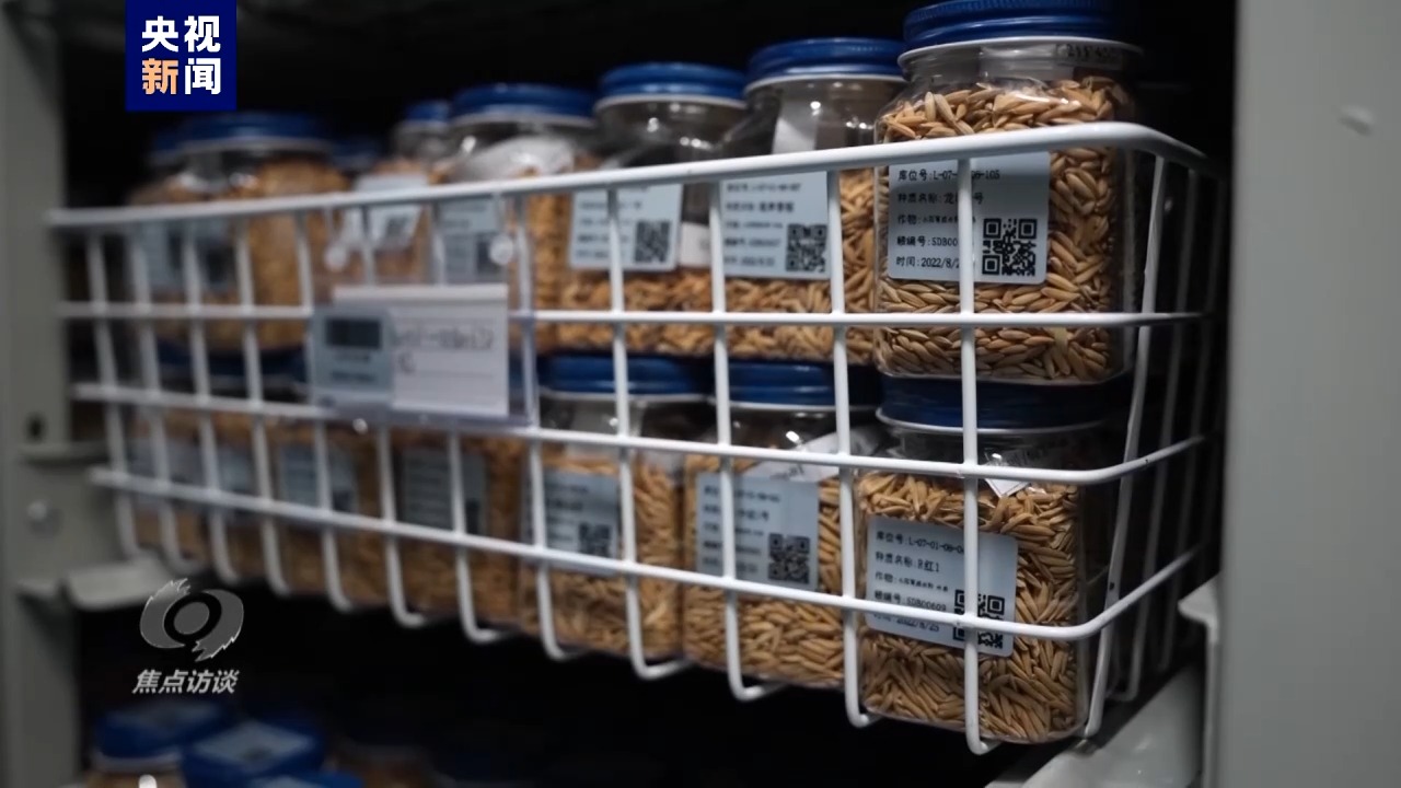 
上海肺科医院黄牛代挂号电话票贩子号贩子网上预约挂号,住院检查加快,伟大的历史变革丨强农富民美乡村