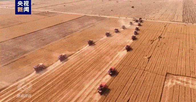 
上海肺科医院黄牛代挂号电话票贩子号贩子网上预约挂号,住院检查加快,伟大的历史变革丨强农富民美乡村