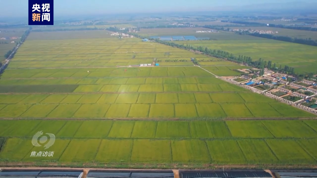 
上海肺科医院黄牛代挂号电话票贩子号贩子网上预约挂号,住院检查加快,伟大的历史变革丨强农富民美乡村