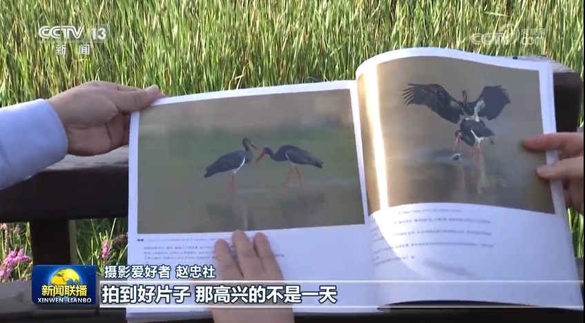
杭州市第一人民医院黄牛代挂号电话票贩子号贩子网上预约挂号,住院检查加快,【高质量发展调研行】陕西：以水润城 绘就人水和谐新画卷