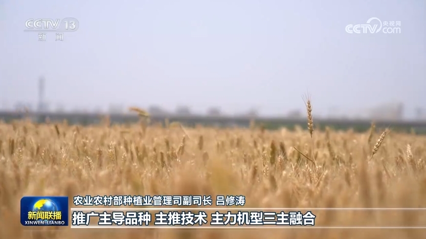 
北京妇产医院黄牛代挂号电话票贩子号贩子网上预约挂号,住院检查加快,【在希望的田野上】我国夏粮产量创历史新高