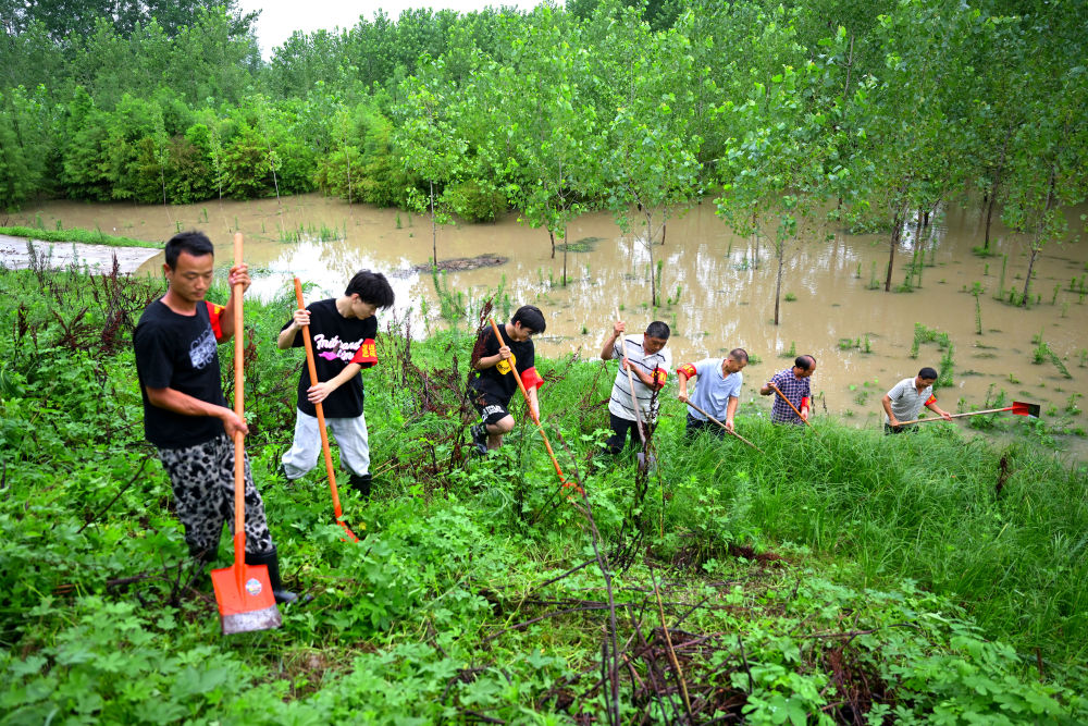 
东部战区总医院黄牛代挂号电话票贩子号贩子网上预约挂号,住院检查加快,聚焦防汛抗洪|盯水情 巡堤防 保民生——“千里淮河第一闸”王家坝闸防汛一线直击