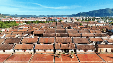 
广东省中医院黄牛代挂号电话票贩子号贩子网上预约挂号,住院检查加快,文化中国行|传统村落埭美村：闽南水乡的古韵今风
