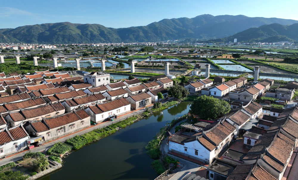 
广东省中医院黄牛代挂号电话票贩子号贩子网上预约挂号,住院检查加快,文化中国行|传统村落埭美村：闽南水乡的古韵今风