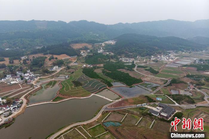
广州中医药大学一附医院黄牛代挂号电话票贩子号贩子网上预约挂号,住院检查加快,（改革进行时）从川渝“破界协同”看西部区域发展新气象
