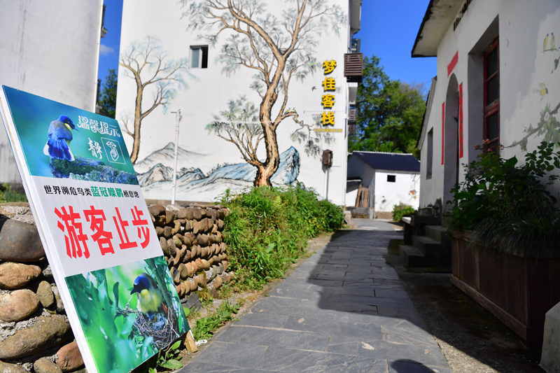
首都医科大学附属安贞医院黄牛代挂号电话票贩子号贩子网上预约挂号,住院检查加快,活力江西｜石门村的生态名片