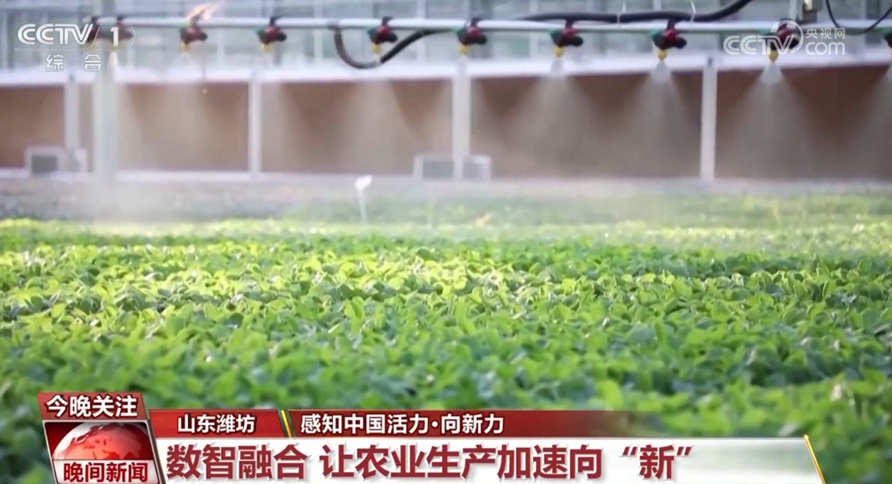 
北京大学第一医院黄牛代挂号电话票贩子号贩子网上预约挂号,住院检查加快,探索力、保障力、向新力……活力满满！中国经济展现蓬勃生机