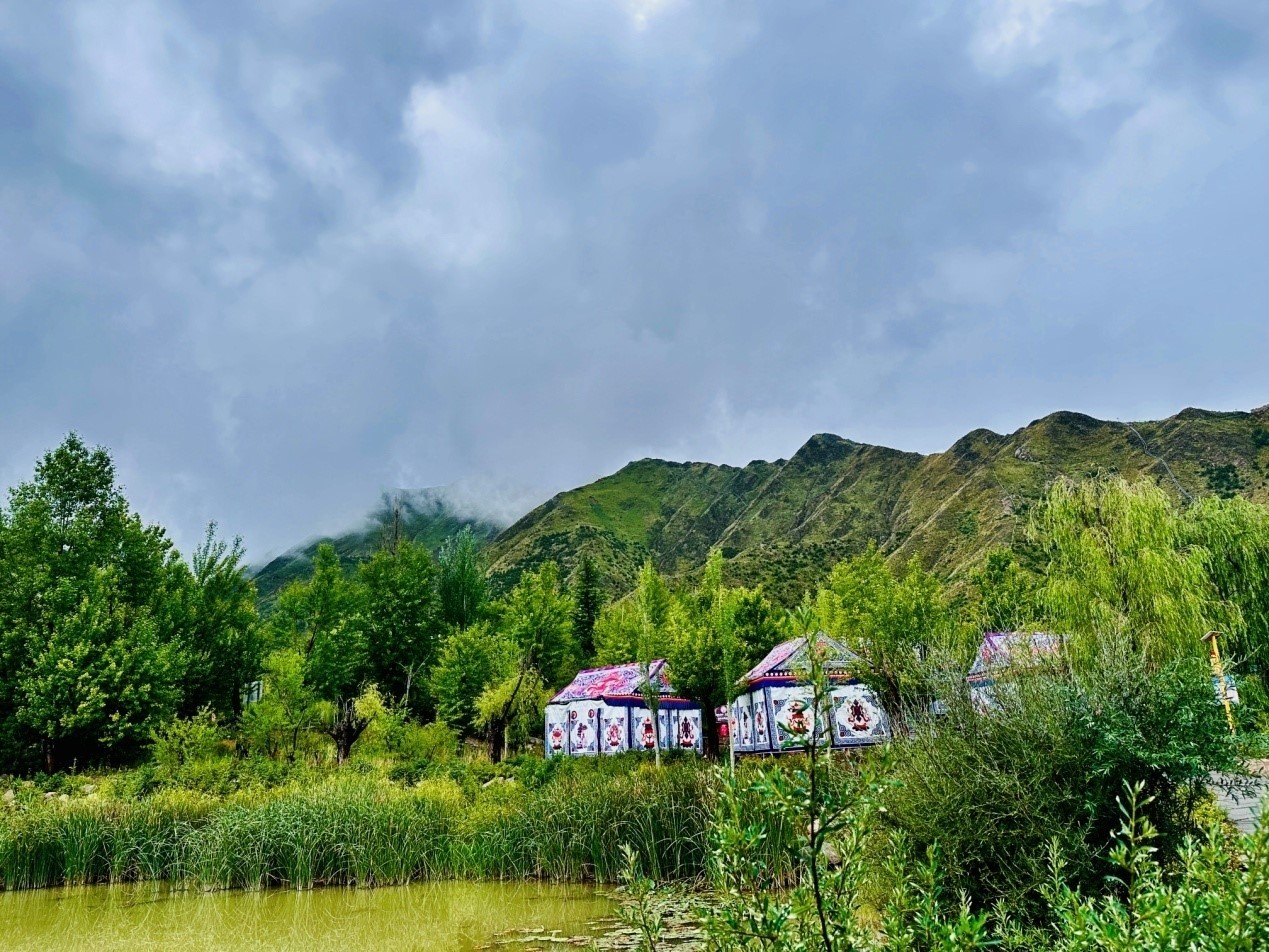 
广州儿童医院黄牛代挂号电话票贩子号贩子网上预约挂号,住院检查加快,我们的家园丨拉萨南山公园：增绿添景让城市更宜居