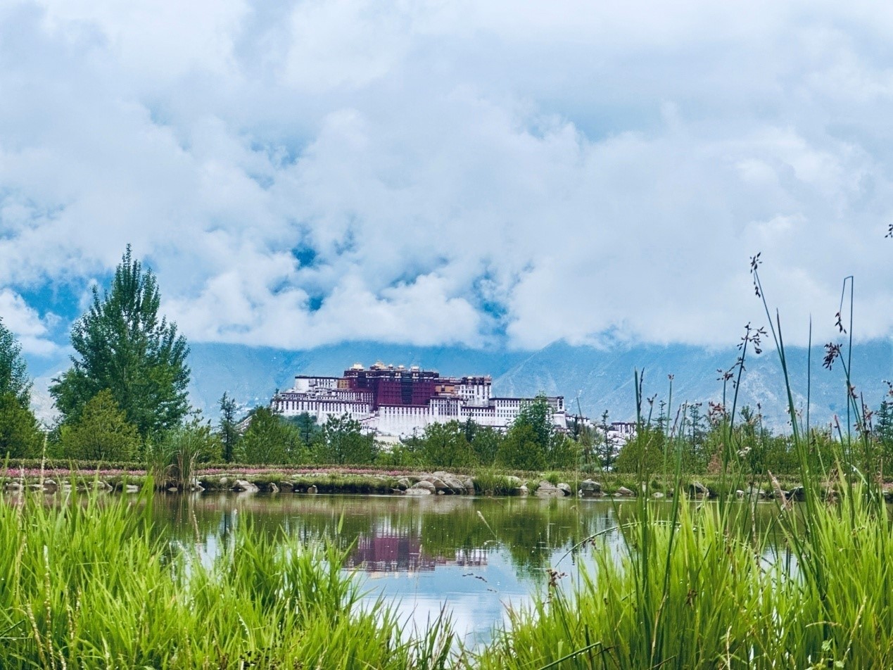 
广州儿童医院黄牛代挂号电话票贩子号贩子网上预约挂号,住院检查加快,我们的家园丨拉萨南山公园：增绿添景让城市更宜居