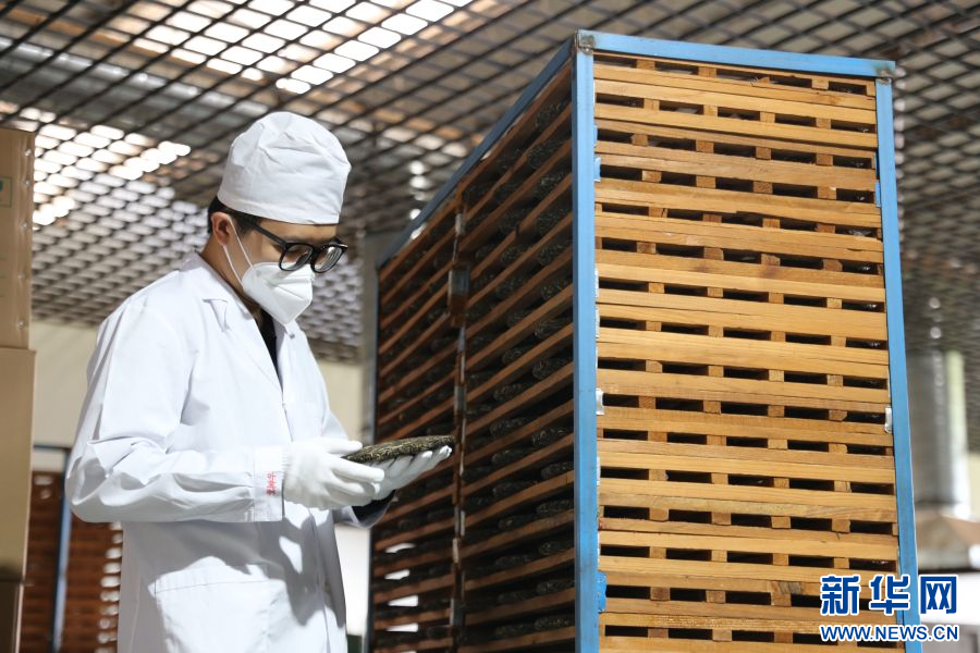 
沈阳医大一院黄牛代挂号电话票贩子号贩子网上预约挂号,住院检查加快,【云南青年说】青年茶人杨文伟：爱“拼”才会赢