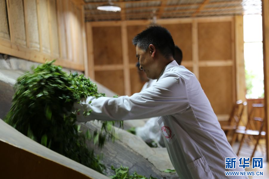 
沈阳医大一院黄牛代挂号电话票贩子号贩子网上预约挂号,住院检查加快,【云南青年说】青年茶人杨文伟：爱“拼”才会赢