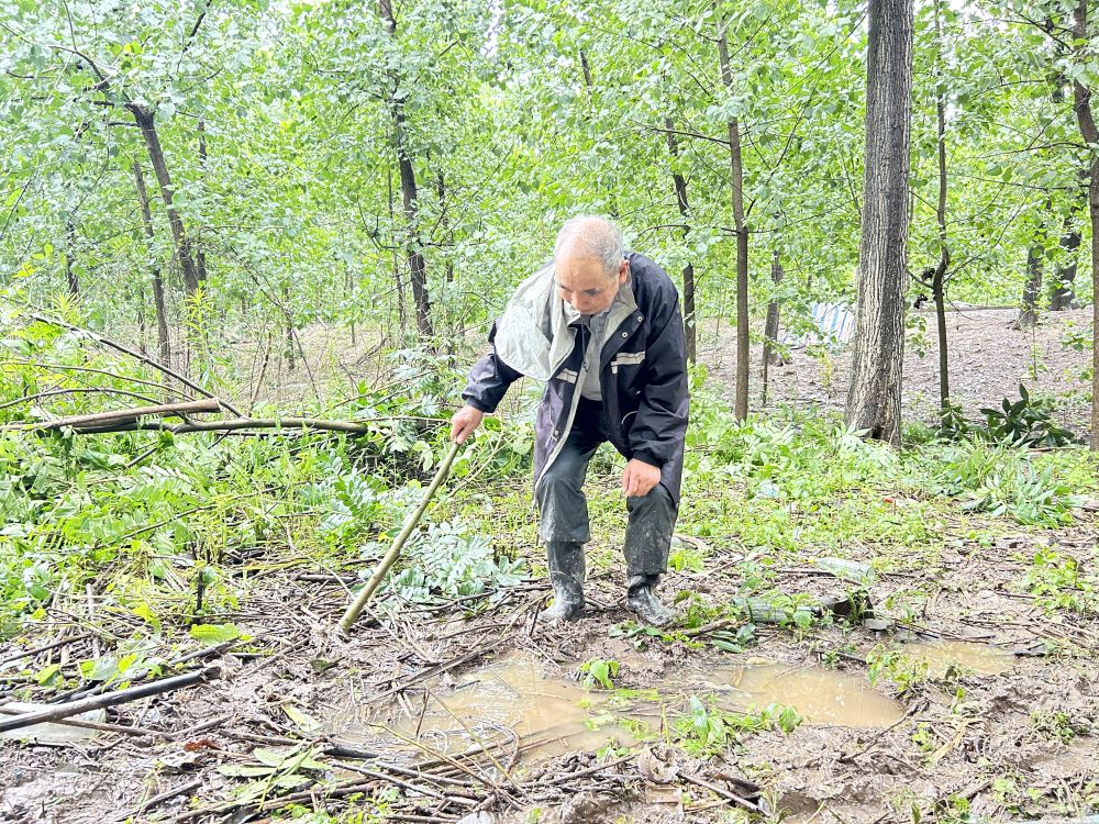 
北京大学第三医院黄牛代挂号电话票贩子号贩子网上预约挂号,住院检查加快,聚焦防汛抗洪丨五洲村：防汛一线守护江心洲