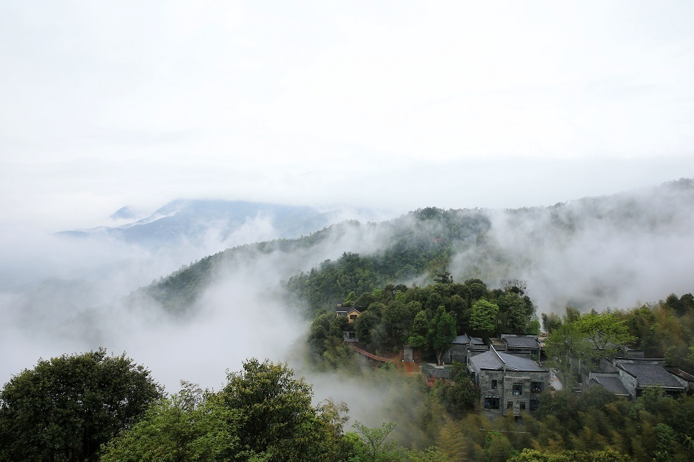 
北京大学第六医院黄牛代挂号电话票贩子号贩子网上预约挂号,住院检查加快,高质量发展调研行 | 走对路子，丑小“丫”能变“白天鹅”！