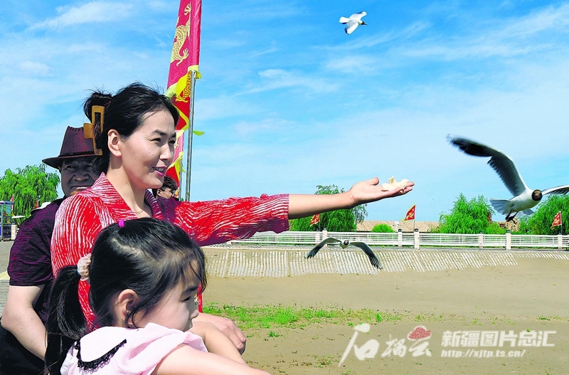 
北京大学第三医院黄牛代挂号电话票贩子号贩子网上预约挂号,住院检查加快,火红七月 旅游红火