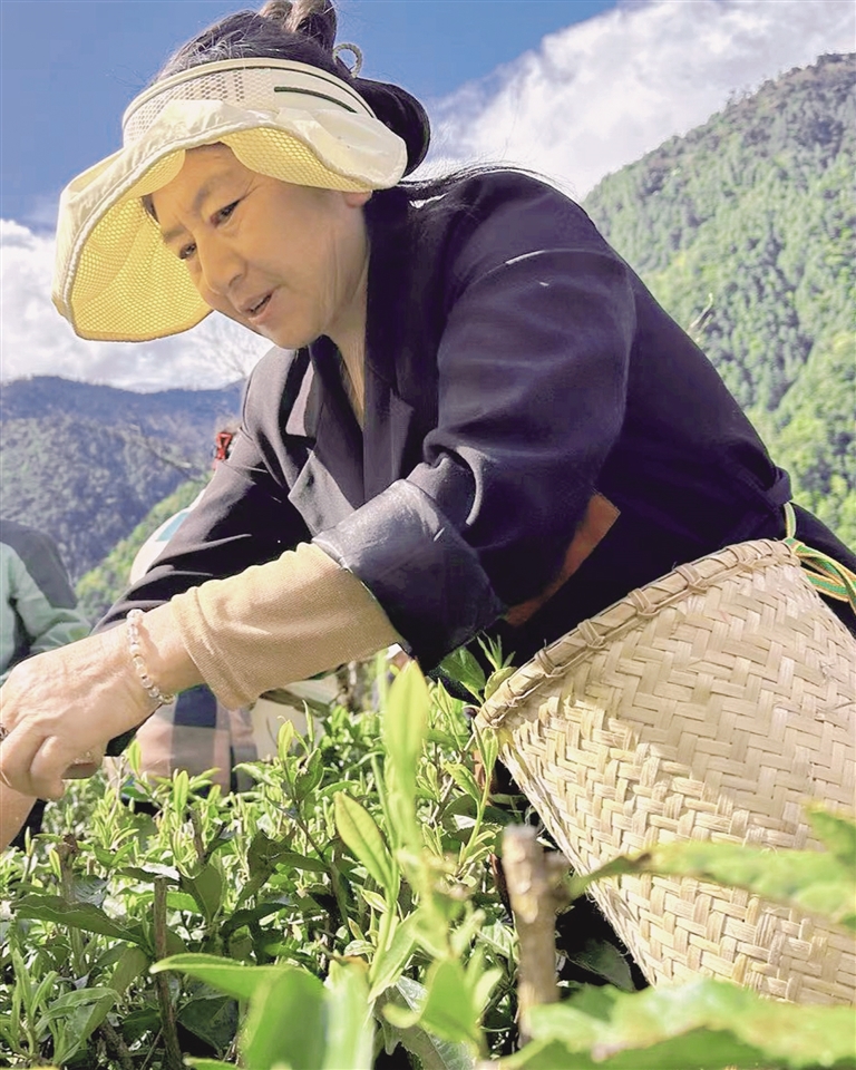 
北京广安门中医院黄牛代挂号电话票贩子号贩子网上预约挂号,住院检查加快,茶汤里的生活哲学与经济潜力