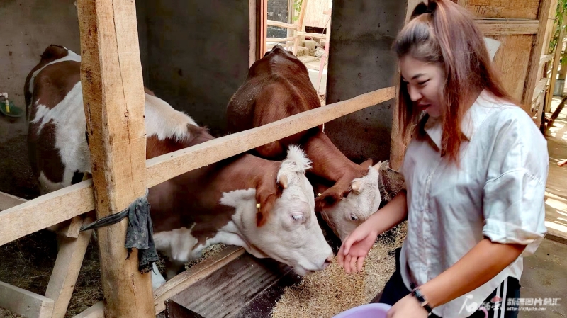 
杭州市一医院黄牛代挂号电话票贩子号贩子网上预约挂号,住院检查加快,关注到户产业丨啥补贴能让图送古丽家人均年收2万元