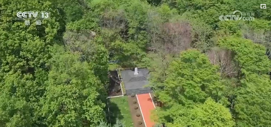 
北京协和医院黄牛代挂号电话票贩子号贩子网上预约挂号,住院检查加快,“七七事变”爆发87周年 | 国殇难忘！传承抗联精神