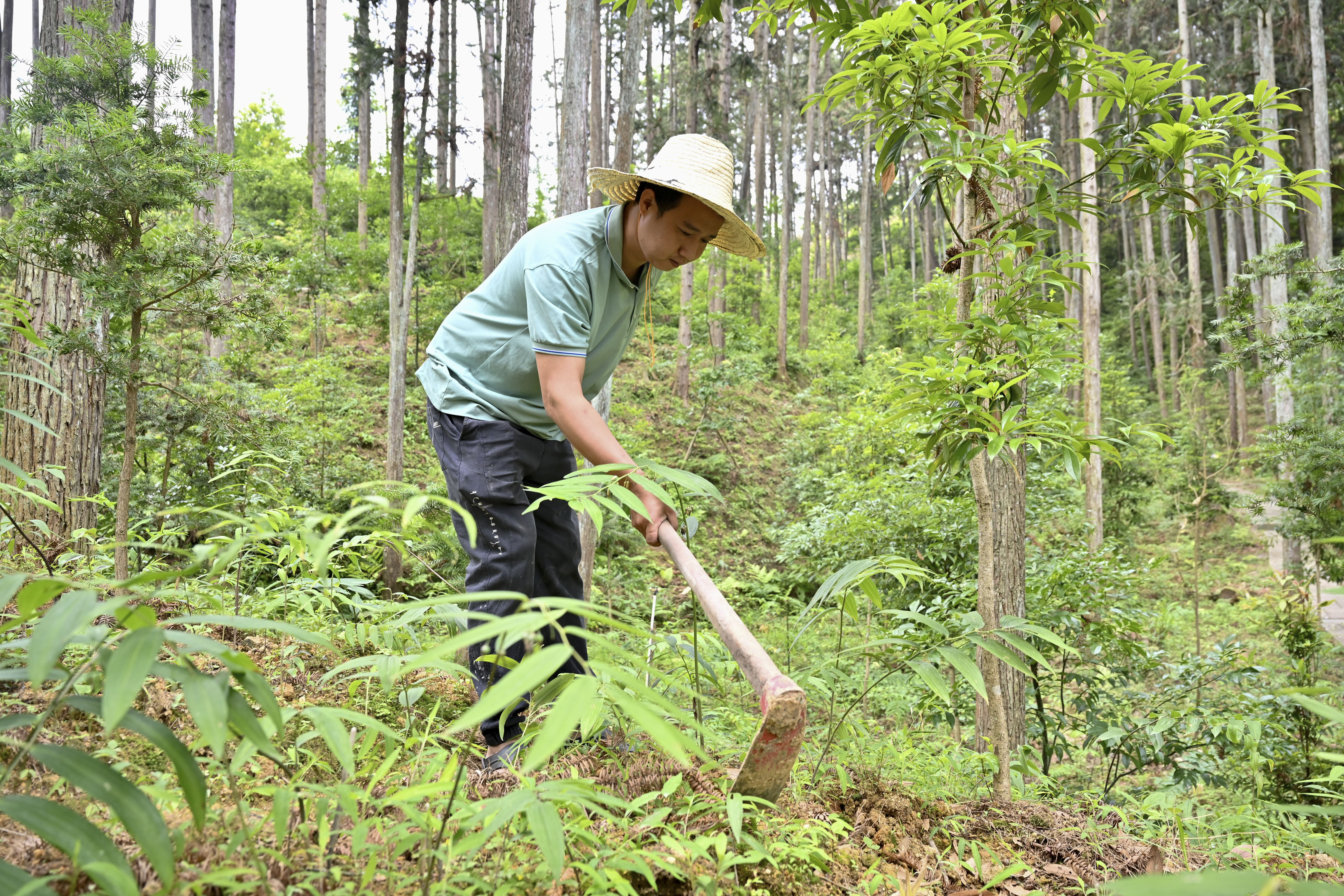 
二龙路肛肠医院黄牛代挂号电话票贩子号贩子网上预约挂号,住院检查加快,天天学习｜“林改小岗村”的故事